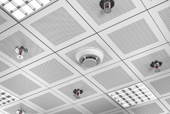 Fire Alarm and Sprinklers
